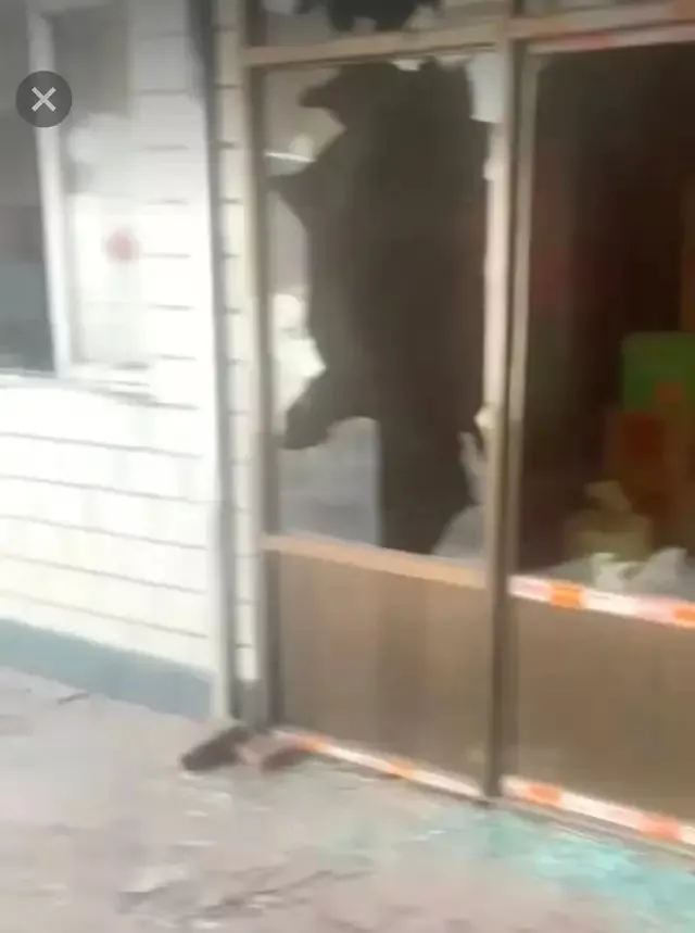 一条狗被摔死后，引发的一起邻里血案