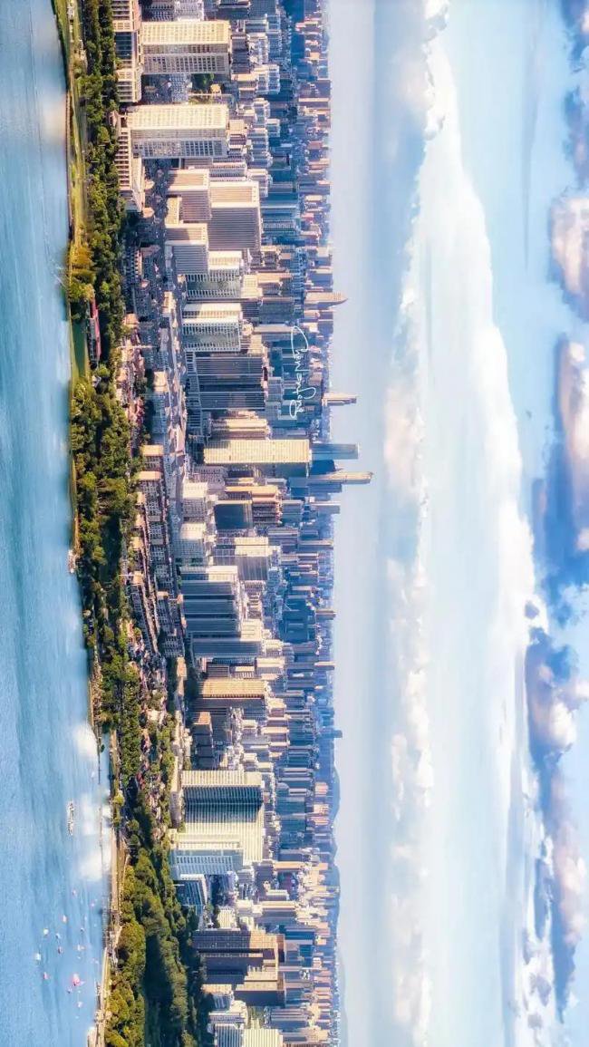 中国顶尖教授,涌向一个“非主流”城市 中国顶尖教授,涌向一个“非主流”城市