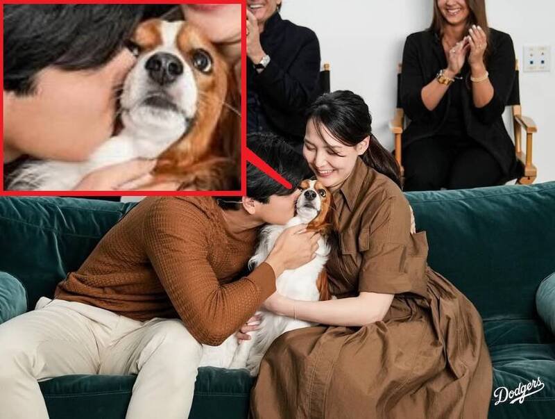 官方公布大谷翔平获奖时全家一起庆祝的影片，只见爱犬Decoy坐在他和妻子田中真美子中间，表情相当惊恐。（取自X）