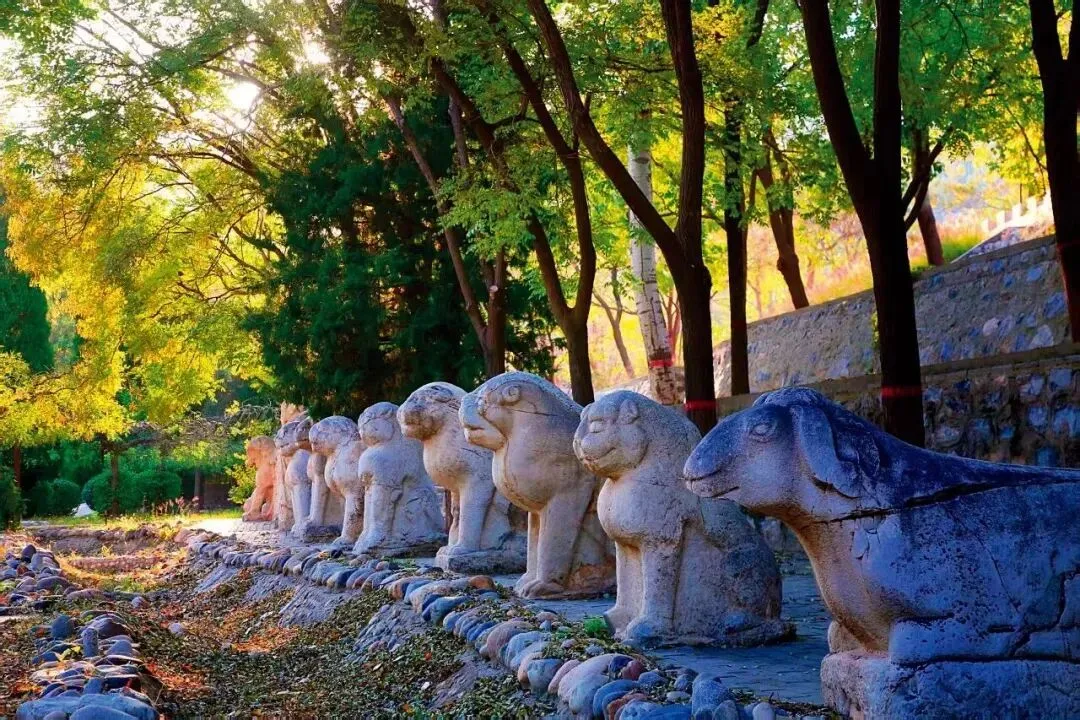 这里,震惊了考古界