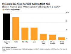美银：明年投资者心中的NO.1竟是它