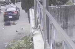 台中18岁BMW男毒驾辗毙翁收押逾一年！ 第4度延押原因曝光