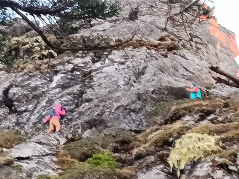 玉山南部园区关山路线，近日有女山友（左）脱队独行，离奇卡在峭壁受困，经园区人员（右）以绳索做好确保，才顺利将女山友带回步道。（玉管处提供）