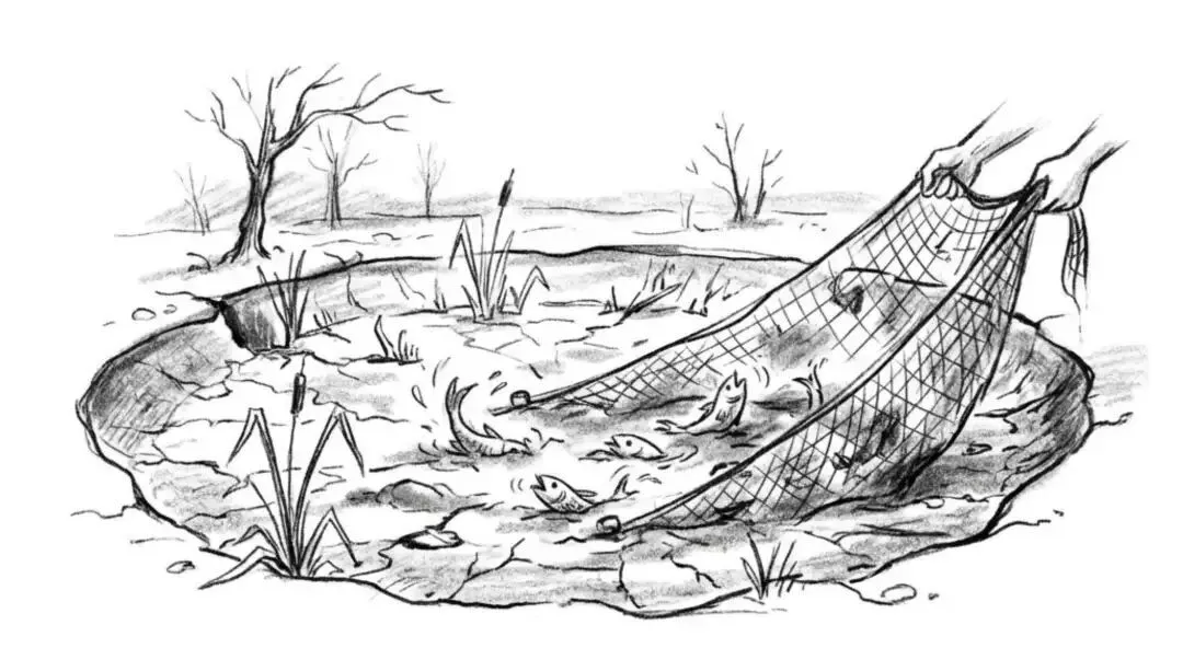 昏招迭出,账号被封,颜宁闺蜜亲手埋葬最后生机 昏招迭出,账号被封,颜宁闺蜜亲手埋葬最后生机