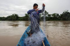 东南亚非法矿场泛滥 研究：致命化学物质污染河川危害深远