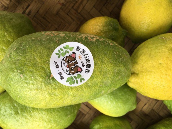 中寮农民种植的友善石虎农作柠檬。（特生中心提供）