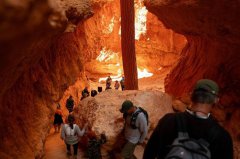 美国家公园落实「美国优先」外国游客门票将涨3倍！1家4口要1万4