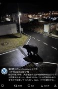 AI假熊！ 日本宫城县女川町公告目击熊出没 后澄清为AI制图