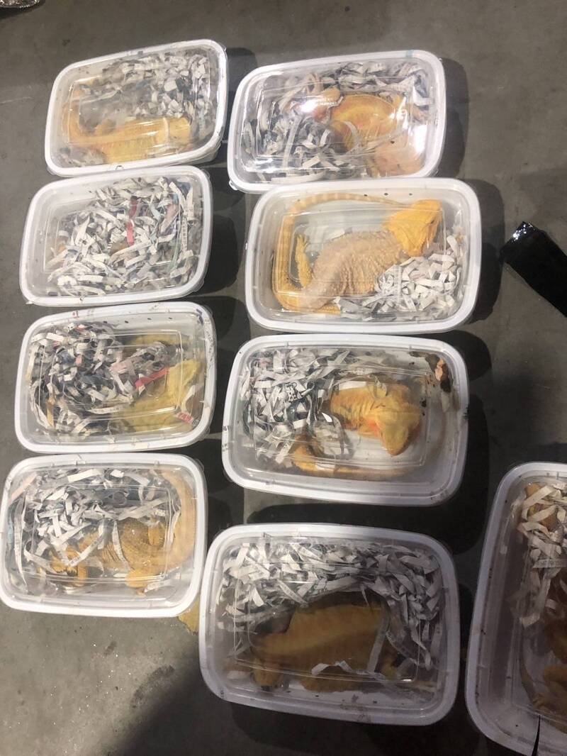 财政部2025年查缉走私成绩不恶，图为查缉到的走私品。（图为财政部基隆关提供）