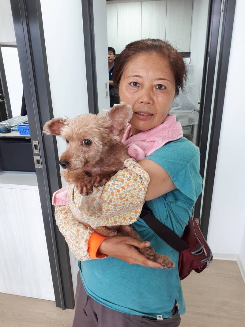 爱狗志工娄欣，是基隆市动物保护防疫所第一个义务动物检查员，照顾、喂养基隆市流浪犬10多年。（记者林嘉东翻摄）