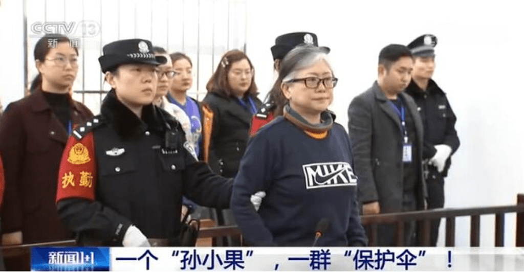 孙小果的母亲孙鹤予被判囚20年。