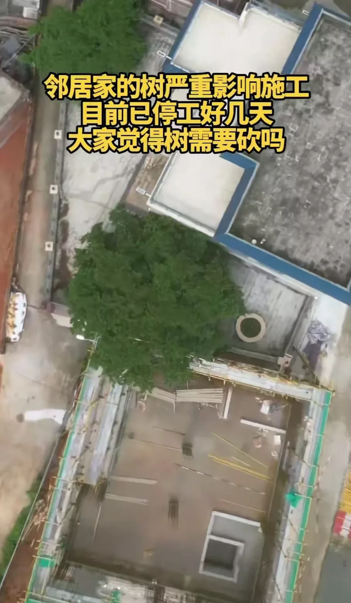 网友称全红婵新家施工因邻居家大树受阻 施工方否认