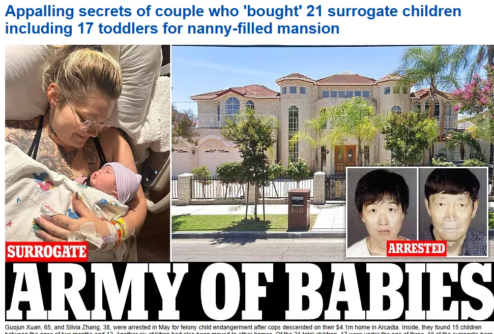 华裔夫妇疯狂代孕案中案：保姆涉虐童遭FBI通缉