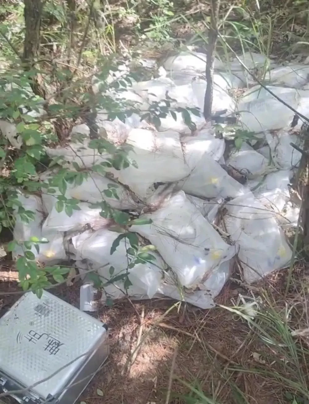 “树林发现大量丢弃药品，还有针头”？是怎么回事？
