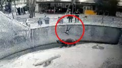 妈带3岁女逛动物园 竟把她丢去喂棕熊  画面曝光