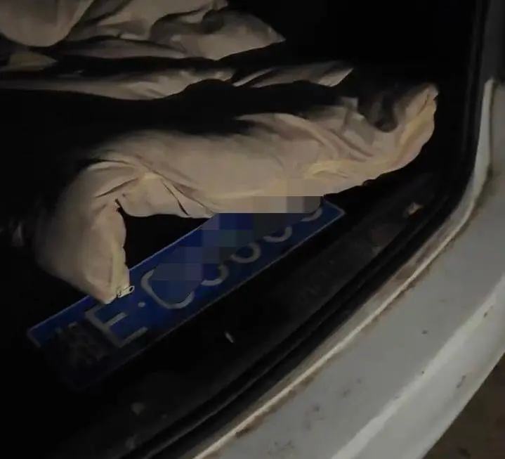 男子直播挖蛇时被毒蛇咬伤,到医院后自行离开失联