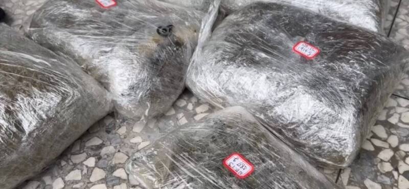 员警割开麻布袋后，发现内部塞满了以真空密封包装的绿色干燥花苞。经查，这批大麻共计32包，总毛重达43公斤，市价逾6000万。（记者林嘉东翻摄）