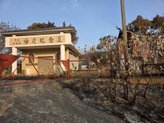 大肚山扫墓野火频传 中市古迹「清水社口杨宅」移置文物也遭烧毁