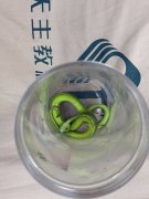 被毒蛇咬还带「凶手」就医！老翁骑车冲急诊 医急喊：这动作更危险