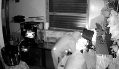 帽T犯嫌潜入餐厅偷窃3万元财物得手 害店家无奈po文周六中午没营业