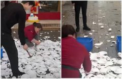 顾客带狗狗到餐厅拍照遭责难 老板竟将600套盘子全砸烂!