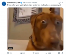 战场上属劣势 伊朗用「迷因」回呛美国 游庭皓：全球舆论反取得优势