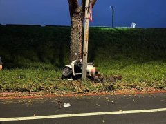 男子骑车撞进路灯路树夹缝不治 警将路面油污纳入追查方向