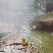 诡！日本5岁童和家人去鹿儿岛泡温泉失踪 警持续搜索