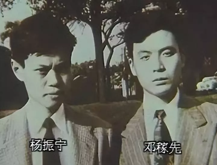 文章配图-7