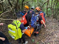 30山友登贡寮卯澳山区遇蜂袭 4人遭螫伤